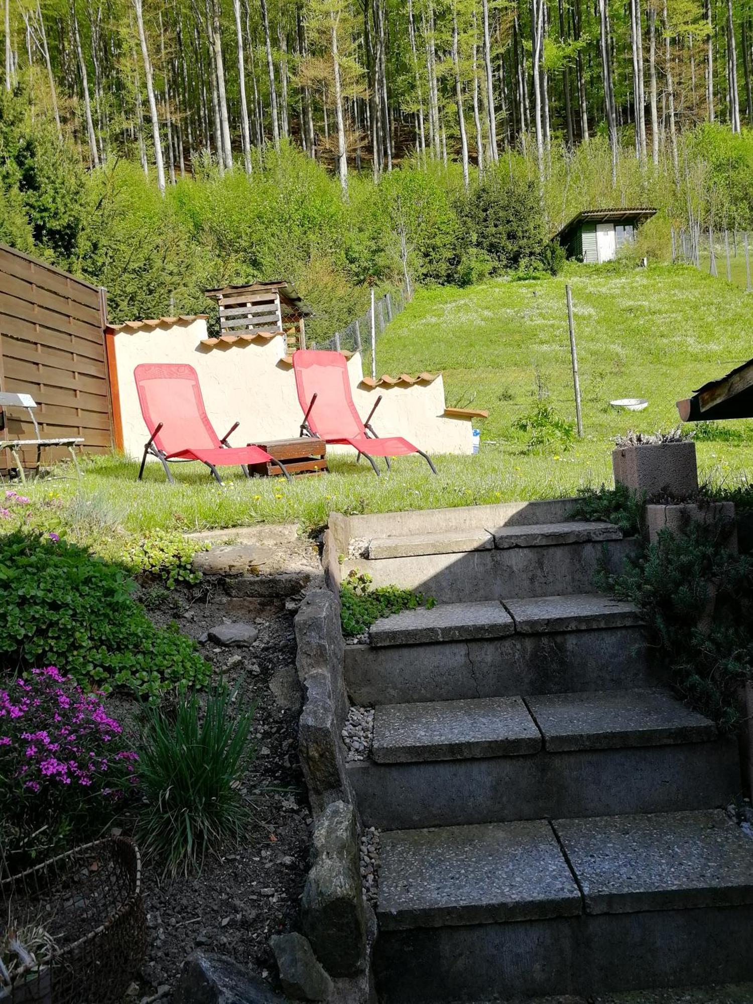 Ferienhaus Rosaly Stolberg i. Harz Buitenkant foto